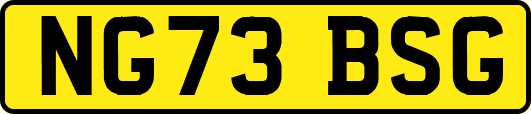 NG73BSG