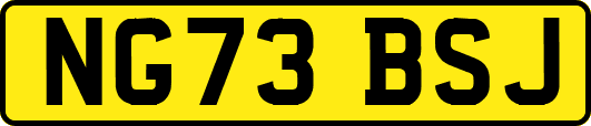 NG73BSJ