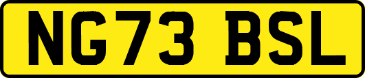 NG73BSL