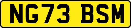 NG73BSM