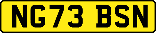 NG73BSN