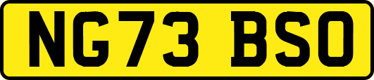 NG73BSO