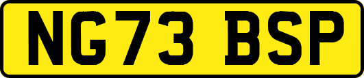 NG73BSP