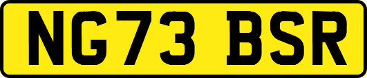 NG73BSR