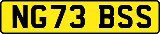 NG73BSS