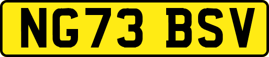 NG73BSV