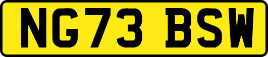 NG73BSW