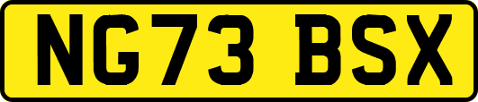 NG73BSX