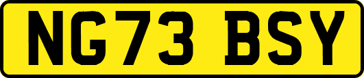 NG73BSY