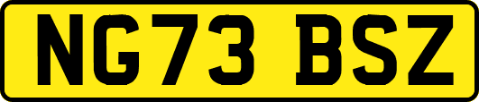 NG73BSZ