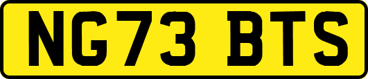 NG73BTS