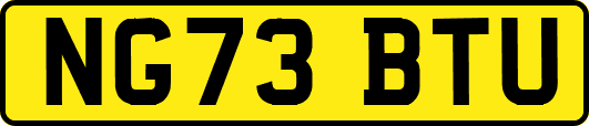 NG73BTU