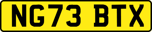 NG73BTX