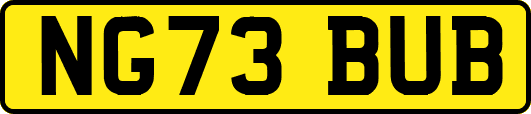 NG73BUB