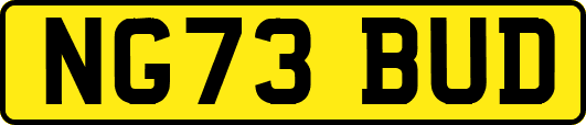 NG73BUD