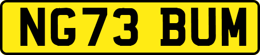 NG73BUM
