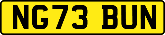 NG73BUN