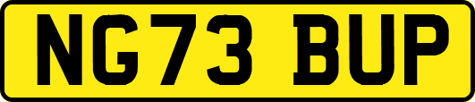 NG73BUP