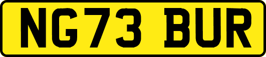 NG73BUR