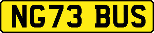NG73BUS