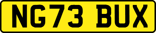 NG73BUX