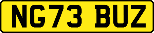 NG73BUZ