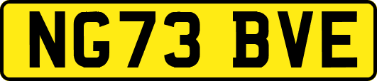 NG73BVE