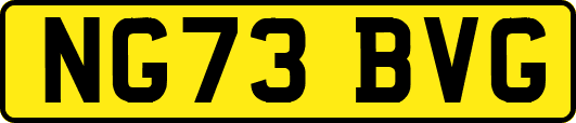NG73BVG