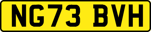 NG73BVH