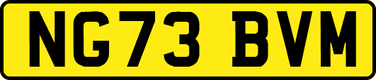 NG73BVM