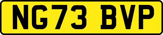 NG73BVP