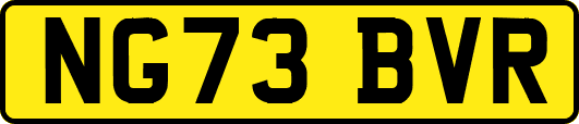 NG73BVR