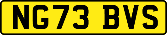 NG73BVS