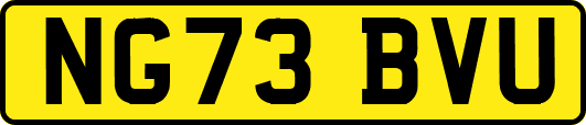 NG73BVU