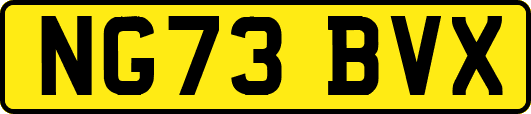 NG73BVX