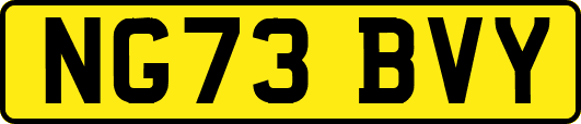 NG73BVY