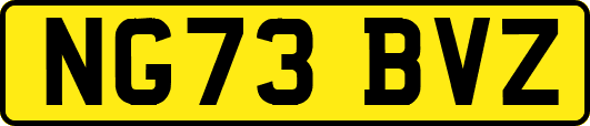 NG73BVZ