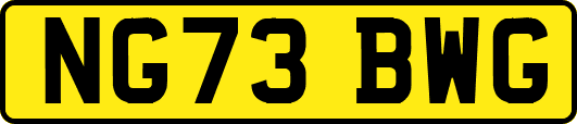 NG73BWG