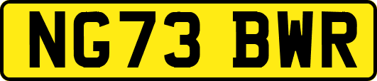 NG73BWR