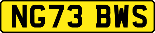 NG73BWS