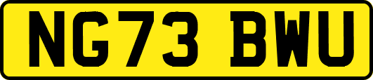 NG73BWU