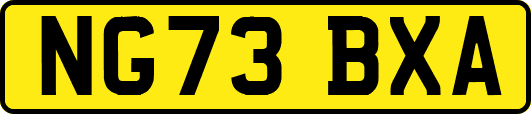 NG73BXA