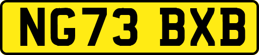 NG73BXB