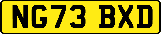 NG73BXD