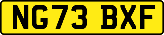 NG73BXF