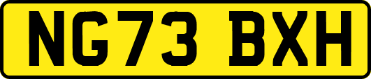 NG73BXH