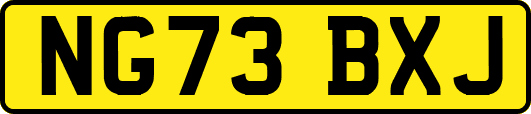 NG73BXJ