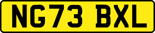NG73BXL
