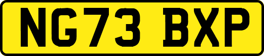 NG73BXP