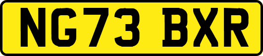 NG73BXR